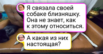 20+ неординарных вещей, которые люди связали, и теперь мы не можем оторвать глаз