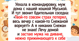 20+ кличек питомцев, к которым хозяева подошли с выдумкой и горсткой изюма