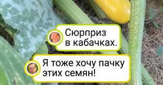 18 человек, которые просто решили что-то посадить, а про урожай до сих пор байки травят