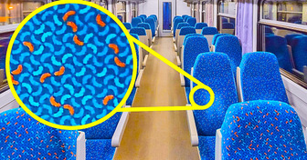 Настоящая причина узорчатых сидений в автобусах и другие 10 секретов