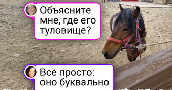 17 случаев, когда реальность подкинула такие ребусы, что без лупы и не разберешься