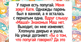 15 домашних животных, из-за которых спокойствие дома — редкий гость