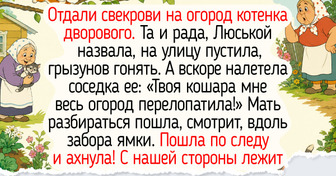 18 светлых историй о животных, которые дарят маленькие радости каждый день