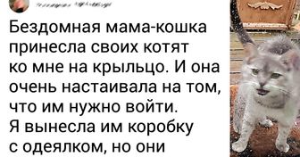 19 человек, чьи питомцы просто взяли и завели себя сами