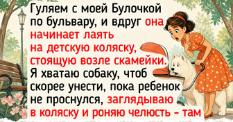 20 человек, которые на прогулке с питомцем не только надышались воздухом, но и вдоволь повеселились