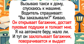 14 историй из такси, где каждая поездка — готовый сценарий для короткометражки