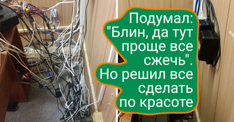 16 фото, от которых перфекционист внутри вас будет мурчать от удовольствия