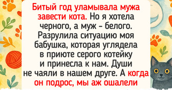 14 трогательных историй о том, как люди нашли своего питомца в приюте