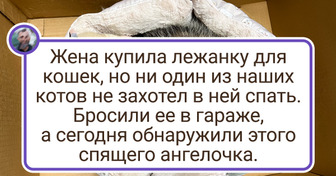 20 человек, которые не очень-то искали встреч с дикой природой, но та влезла без спросу