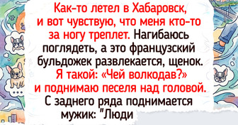 19 питомцев, которые устроили своим хозяевам такую заварушку, что мама не горюй