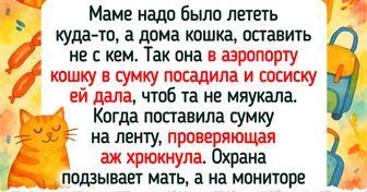 20 ярких историй из аэропортов и самолетов, которые затмят любой сериал