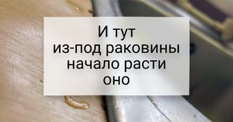 18 случаев, когда природа показала, кто тут на самом деле главный