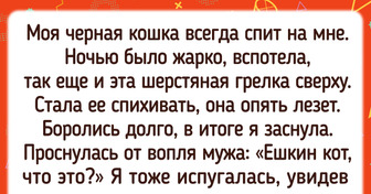 20 усатых-полосатых, у которых не только красивая мордочка, но и характер имеется