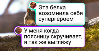 18 диких животных, которые попали в кадр в нужный момент и показали всю свою фотогеничность