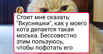 20+ потешных питомцев, которые такую эмоцию выдали, что хоть стой, хоть падай