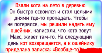 20 теплых историй о том, что наши питомцы отличаются умом и сообразительностью