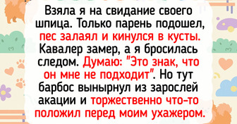 20+ барбосов, чья преданность озаряет жизнь хозяев ярче прожектора