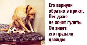 11 мощных фото, от которых сжимается сердце