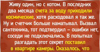 15 смышленых питомцев, которые вносят перчинку в жизнь двуногих