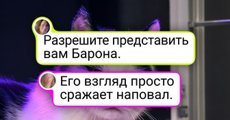18 пушистых моделей, которые будто сошли со страниц глянцевого журнала