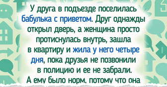 17 человек, которые попали то ли в сериал, то ли в стендап-шоу