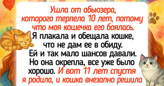 18 историй о животных, которые заставят вас плакать, смеяться и удивляться