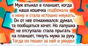 20+ раз, когда питомцы проявили такую смекалку, что их хозяева едва не зависли с открытым ртом