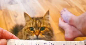 Кошка вернулась домой с запиской на ошейнике и стало ясно, что она ведет двойную жизнь