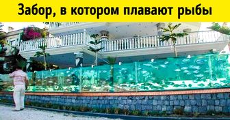 22 фото, на которых богатая жизнь ослепляет настолько, что хочется надеть солнцезащитные очки