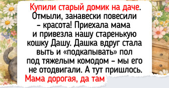 18 добрых историй о питомцах, которые дали повод для улыбки