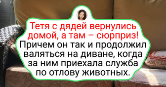 20+ человек, которым дикая природа доверилась, как старым друзьям