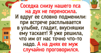 20+ душевных историй и снимков о том, что питомцы делают наши будни в сто раз ярче