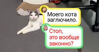 17 фото из серии «Кажется, в нашей матрице произошел сбой»