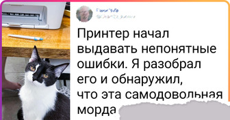 20 человек, которым достались питомцы с самым скверным характером, но они их все равно любят до неба и обратно