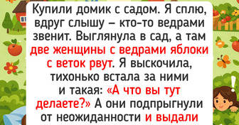 17 историй о даче, после которых руки сами потянутся к рассаде