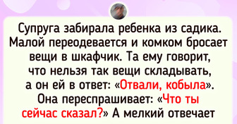 17 человек, которые сначала что-то недопоняли, а потом до них как дошло