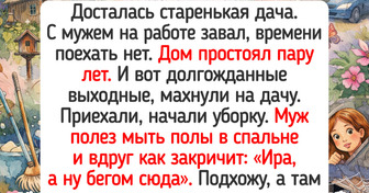 18 простых историй о даче с запахом свежих огурчиков, где что ни день — то комедия