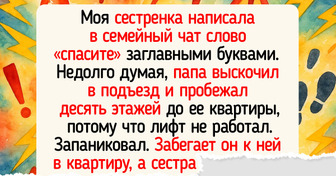 15+ раз, когда семейный чат стал филиалом театра и цирка одновременно