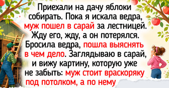 20+ добрых историй о питомцах, которые внезапно попали в самые заботливые руки