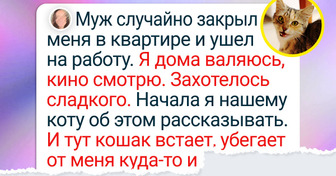 15 случаев, когда питомцы превратились в настоящих супергероев
