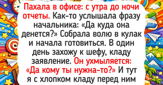 20+ историй от людей, которые бросили «хорошую» работу ради мечты
