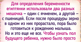 10 увлекательных фактов о Древнем Египте, где придумали удивительно точный тест на беременность