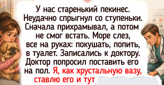 20 душевных историй о том, как питомец превратил обычную квартиру в настоящий дом