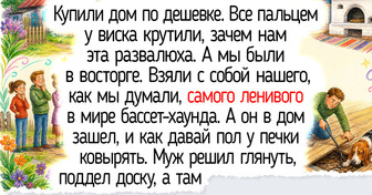 14 простых пород питомцев для занятых людей, которые будут каждый вечер дарить вам маленькие радости