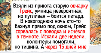 27 пушистых историй, которые сделают ваш день чуточку добрее