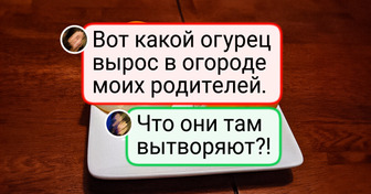 14 дачников, чьи овощи и растения будто прибыли с другой планеты