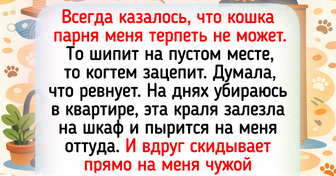 18 животных, которые проявили чудеса смекалки и перехитрили своих хозяев
