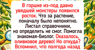 15+ растений-оптимистов, которые растут так, как им подсказывает сердце