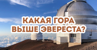 15 школьных вопросов, на которые не каждый отличник сходу ответит