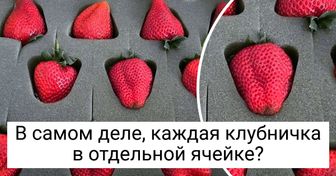 20+ производителей, которые так перестарались с упаковкой товара, будто собирались его в космос запускать